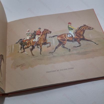 Picture of The Horse in Action : A Unique and Exact Portrayal of the Movements of the Horse