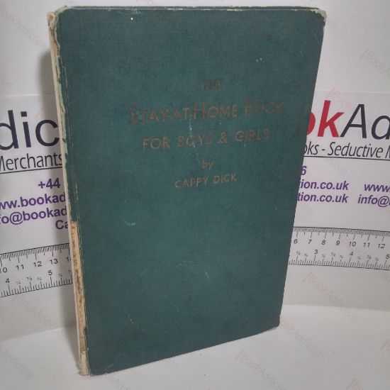 Picture of The Stay at Home Book for Boys and Girls