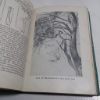 Picture of The Artistic Anatomy of Trees : Their Structure and Treatment in Painting (New Art Library)