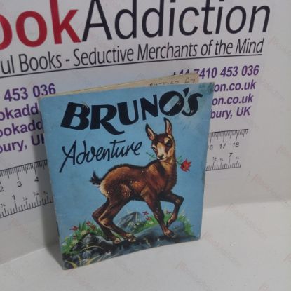 Picture of Bruno's Adventure