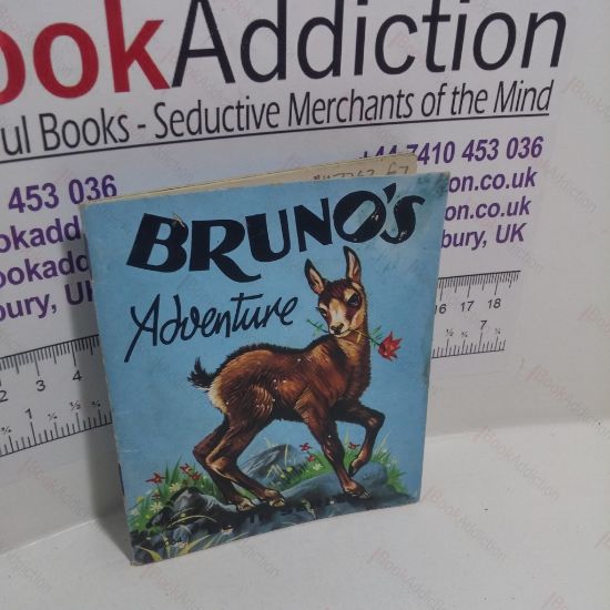 Picture of Bruno's Adventure