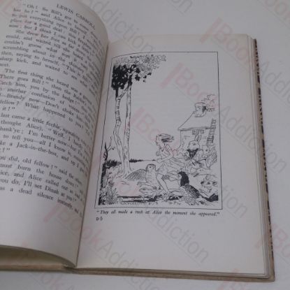 Picture of The Land of Many Delights