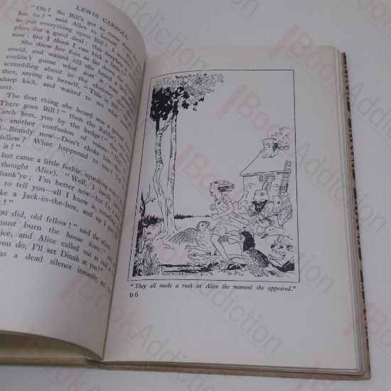 Picture of The Land of Many Delights