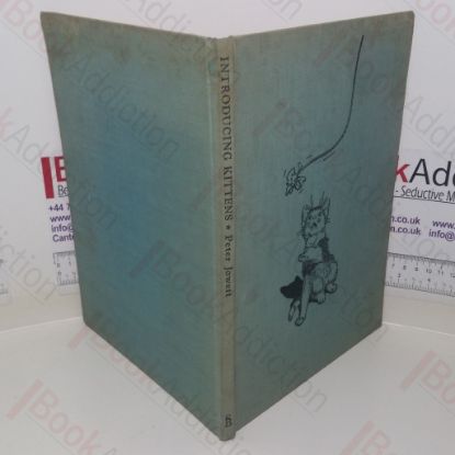 Picture of Introducing Kittens