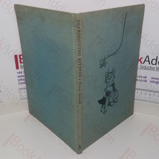 Picture of Introducing Kittens