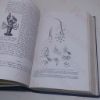 Picture of Borradaile's Manual of Elementary Zoology