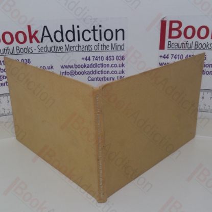 Picture of Bird Watching Nesting Birds along the Coast (A Jarrold Tableau Series Publication)