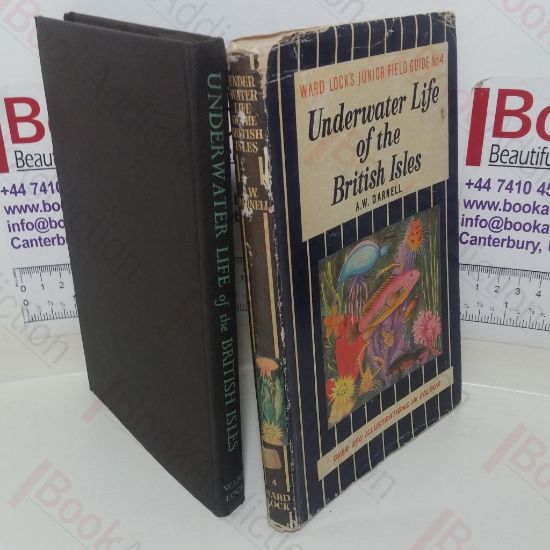 Picture of Underwater Life of the British Isles (Ward Lock's Junior Field Guide, No. 4)