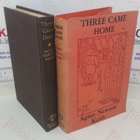 Picture of Three Came Home