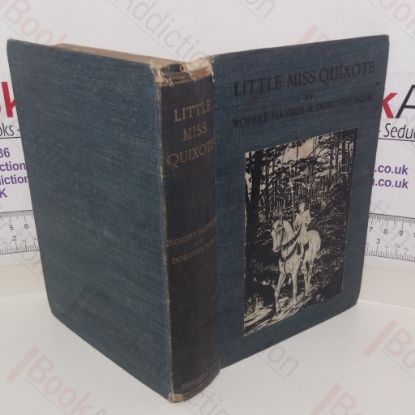 Picture of Little Miss Quixote