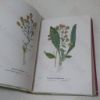 Picture of Wayside and Woodland Blossoms: A Guide to British Wild Flowers (Series I, II and III)