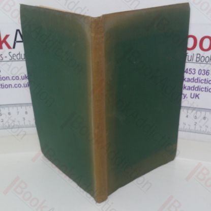 Picture of Fountains in the Sand