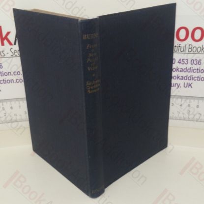 Picture of Burns from a New Point of View