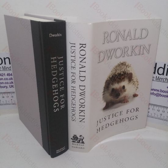Picture of Justice for Hedgehogs