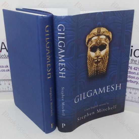 Picture of Gilgamesh