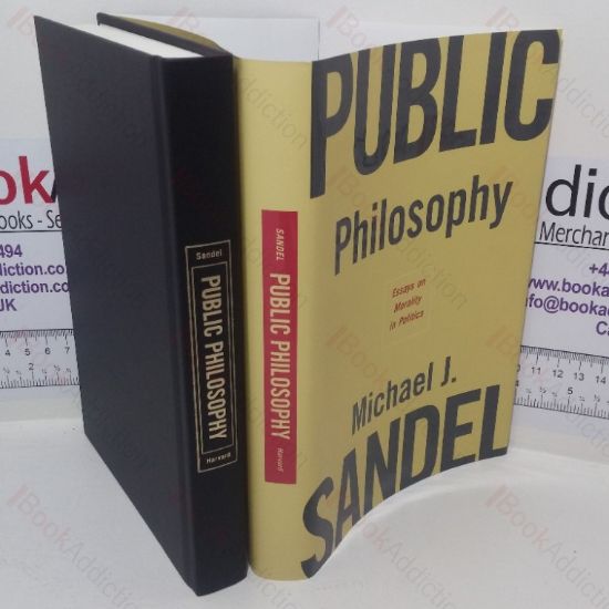 Picture of Public Philosophy: Essays on Morality in Politics