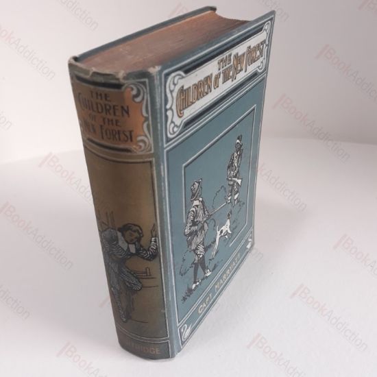 Picture of Children of the New Forest