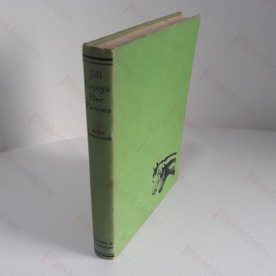 Picture of Jill Enjoys Her Ponies