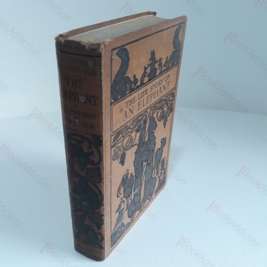 Picture of The Life Story of an Elephant