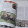 Picture of Chicken Manual : The Complete Step-by-Step Guide to Keeping Chickens (Haynes Manuals)