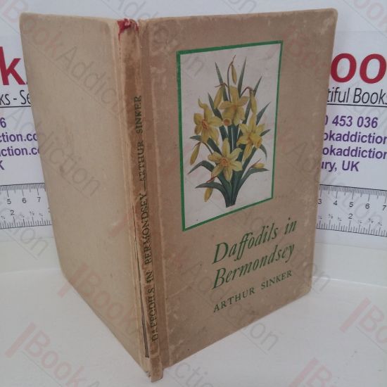 Picture of Daffodils in Bermondsey