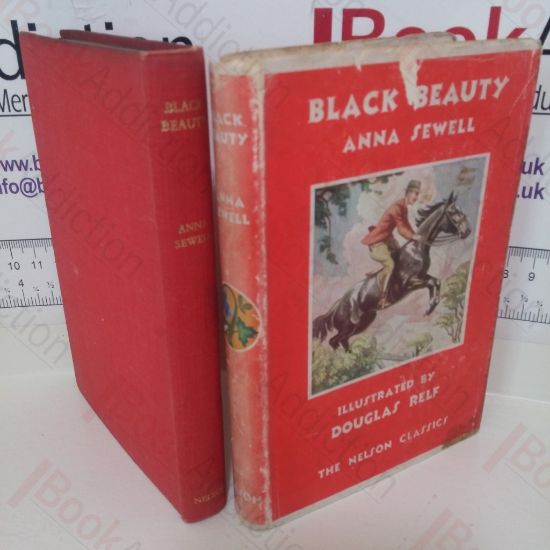 Picture of Black Beauty