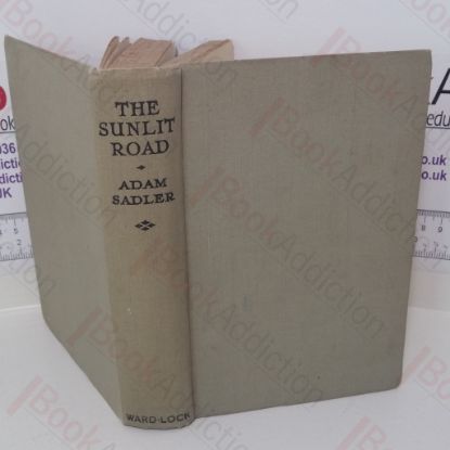 Picture of The Sunlit Road