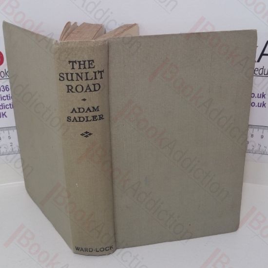 Picture of The Sunlit Road