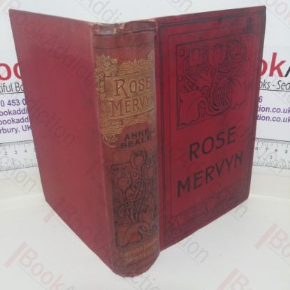Picture of Rose Mervyn: A Tale of The Rebecca Riots