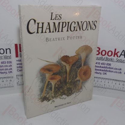 Picture of Les Champignons