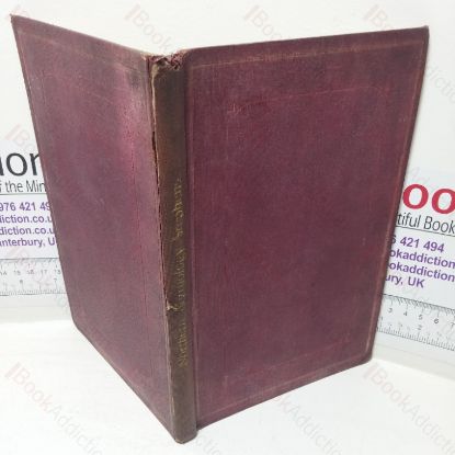 Picture of Prof S Bugge's Studies on Northern Mythology Shortly Examined