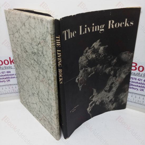 Picture of The Living Rocks