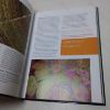 Picture of McCulloch's Contemporary Aboriginal Art: The Complete Guide