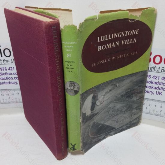 Picture of Lullingstone Roman Villa