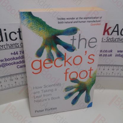 Picture of The Gecko's Foot : How Scientists Are Taking a Leaf from Nature's Book
