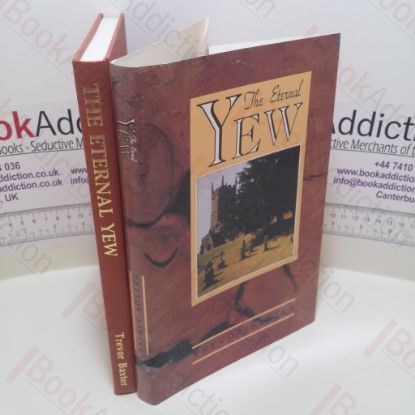 Picture of The Eternal Yew