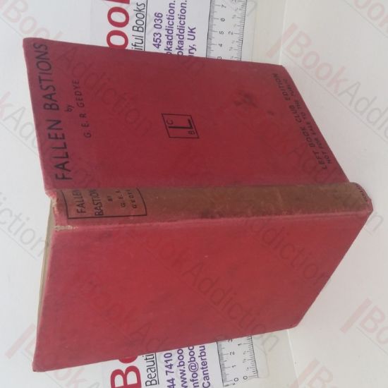 Picture of Fallen Bastions: The Central European Tragedy