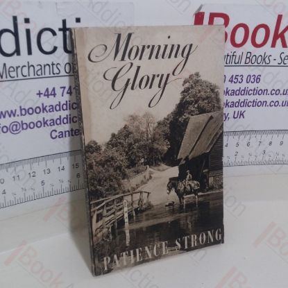 Picture of Morning Glory