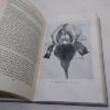 Picture of Irises: Their Culture and Selection