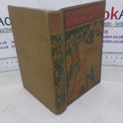 Picture of Tommy and the Wishing Stone