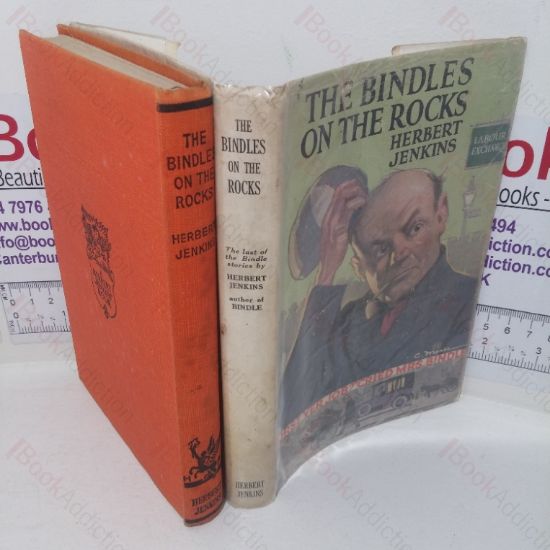 Picture of The Bindles on the Rocks: Some Further Adventures in the Life of Mr and Mrs Bindles
