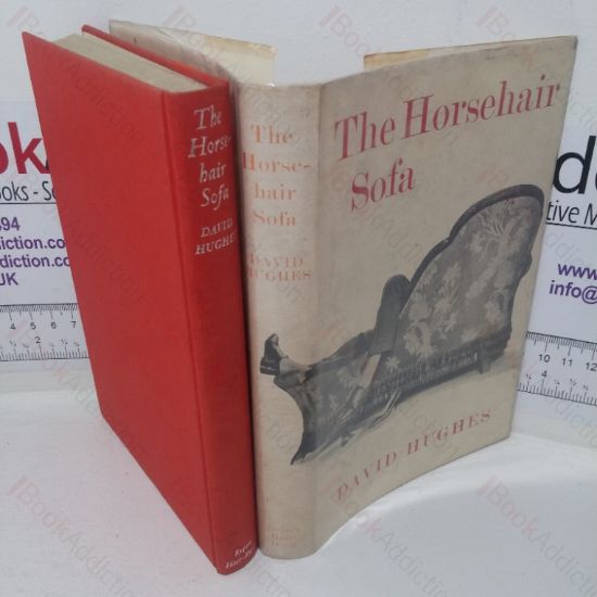 Picture of The Horsehair Sofa