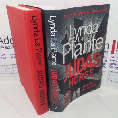 Picture of Judas Horse