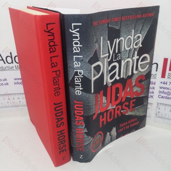 Picture of Judas Horse