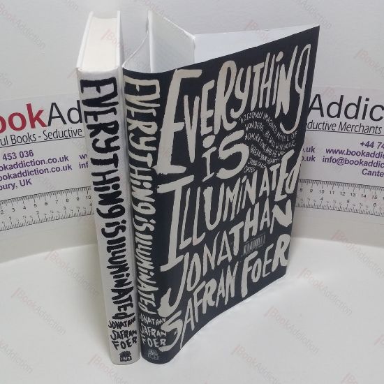 Picture of Everything is Illuminated