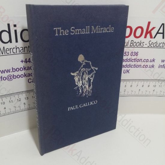 Picture of The Small Miracle