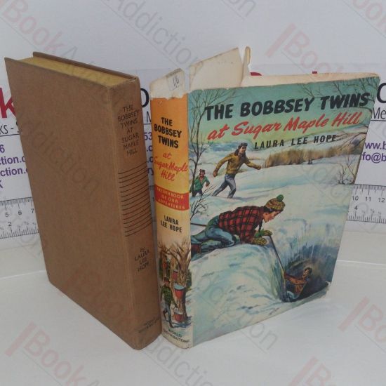Picture of The Bobbsey Twins at Sugar Maple Hill