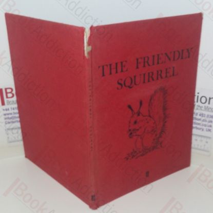 Picture of The Friendly Squirrel