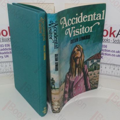 Picture of Accidental Visitor