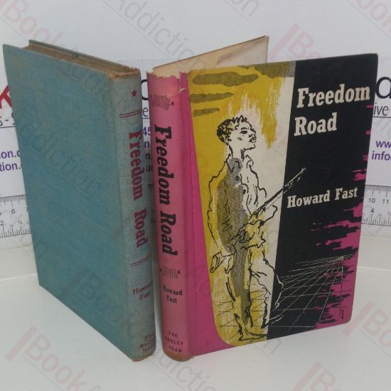 Picture of Freedom Road: A Novel